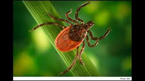 Our raleigh pest control services are backed by over 120 years of experience and delivered by trained technicians. Clegg Family Student Housing Opens At Durham Rescue Mission Pct Pest Control Technology