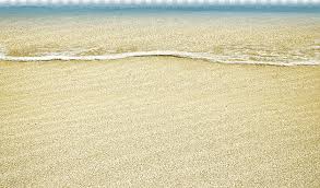 Maybe you would like to learn more about one of these? Brown Beach Sands Material Wood Grasses Family Beach Background Decoration Decor Decorative Christmas Decoration Png Pngwing