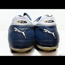 Image result for Medium Steel Blue 2001 Puma