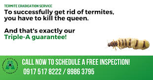 Welcome to budget pest control, inc., a pest control service located in chicago, il and serving the surrounding areas. Termite Control Spraying And Dusting Vs Baiting Triple A Pest Terminator Pest Control Quezon City Manila Philippines