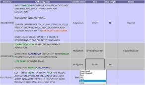 sample chart review form used by abstractors to classify the