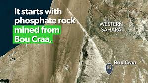 Precious rock New Zealand is accused of stealing from the Sahara |  Stuff.co.nz
