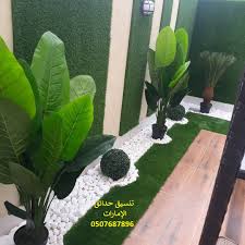 تنسيق حدائق فى الفجيرة 0507687896 تصميم حدائق منزلية وتركيب مظلات جلسات حدائق خارجية فى الامارات Plant Leaves Plants Instagram