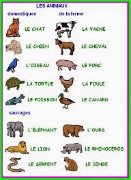 Les animaux … | Francês para iniciantes, Palavras em francês, Aula ...