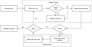 Flow Chart Of The Cellular Multiplication Process