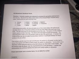 Solved Lab Worksheet Directional Terms Directions Corre Chegg Com