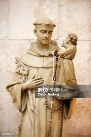 49 Fleury Abbey Stock Photos, High-Res Pictures, and Images