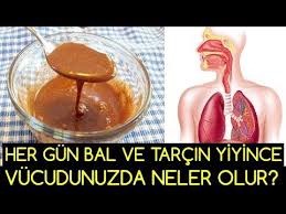 Her Gun Bal Ve Tarcin Yiyince Vucudunuzda Neler Olur Videolu Ruya Tabirleri Gesundheit Schmerz