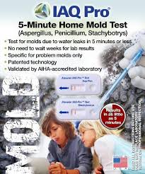 Healthful Home 5 Minute Home Mold Test Aspergillus Penicillium Stachybotrys Http Www Rekomande Com Healt Home Mold Test Black Mold Exposure Mold Exposure