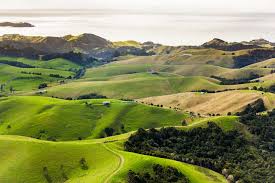 Gambar pemandangan di new zealand. What A Fantastic Green View Auckland Bay Of Islands Auckland Green View Aucklandbayofislands Amazing Landscape Fantastic Awesome Pemandangan Lanskap