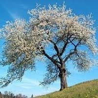 13,731 likes · 30 talking about this. Barbatul Rac Deea S Blog