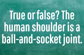 Zoe samuel 6 min quiz sewing is one of those skills that is deemed to be very. Xbzqs0ocu5h1qm