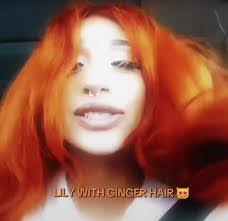 Lily Dye's Instagram, Twitter & Facebook