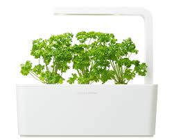 Save up to $65 on smart garden systems and plant pods by purchasing their monthly or annual we have a dedicated team that works around the clock to find, post and verify the offers we present to. Parsley 3 Pack Plant Pods For Smart Garden Grow Store