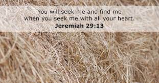 22 Bible Verses About Seeking - Dailyverses.net