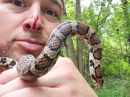 Discovery Bay California ❤️ I could see the adrenaline and excitement this  man had while watching him; he even let his pup kiss the fish ☀️🐶🐠