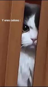 [Imagen: images?q=tbn:ANd9GcRwjMJkakrQCsyXZ3NEBFZ...g&usqp=CAU]