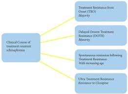 Many people recover completely whereas others might have episodes of schizophrenia that come and go. Frontiers Clinical Course Neurobiology And Therapeutic Approaches To Treatment Resistant Schizophrenia Toward An Integrated View Psychiatry