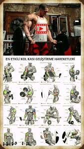 Sporium Panosundaki Pin