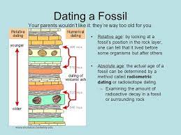 Some unknown process dating sites with rich men to decay rates. Dating Fossils How Are Fossils Dated