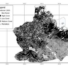 Image result for Globimetula kivuensis