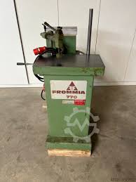 Image result for Frommia