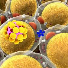 Il peut toucher de nombreuses parties du corps, dont les articulations, la peau, les reins, le coeur, etc. Qu Est Ce Qu Une Maladie Auto Immune Femme Actuelle Le Mag