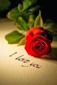 Beautiful long stemmed red roses presented in a long rose box, and laid on lush green foliage. Pin By Daria Ginzburg On Roses Cicekler Happy Valentine Day Quotes Valentine S Day Quotes Valentines Day Quotes For Her