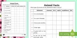 They group together organisms that have similar. Classifying Living Things Worksheet Teacher Made