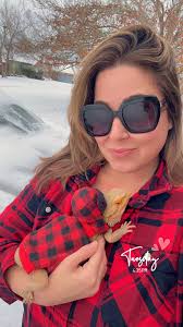 Lost bearded dragon in Timberlands Estate