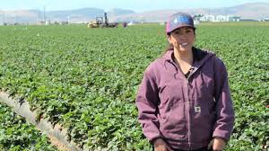 Top pest control companies in california. Become A Pca Capca