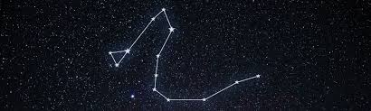 Check spelling or type a new query. Draco The Dragon Constellation