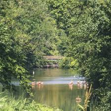 Over the past 40 years, the carrefour group has grown to become one of the world's leading distribution groups. La Foret D Orleans Orleans Val De Loire Tourisme