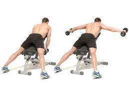 Let hands hang directly below shoulders, palms facing in to start. How To Do The Incline Prone Reverse Dumbbell Fly