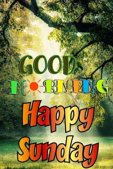 900+ Best Good morning sunday images ideas | good morning sunday images, sunday images, good morning sunrise with tree