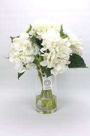 We did not find results for: White Hydrangea Artificial Flower Arrangement Floralistic