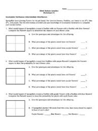 Some of the worksheets displayed are non mendelian genetics, dihybrid practice work answer key, codominantincomplete dominance practice work, mendels practice problems and answers, monohybrid and dihybrid crosses formal experiment, work punnett square review answers, practice codominance and incomplete dominance work. Bikini Bottom Genetics Name Incomplete Dominance Use Bikini Bottom Genetics Name Incomplete Dominance Use Pdf Pdf4pro