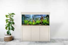 Verkaufe nur aquarium panorama 260l mit schrank ohne zubehör aquarium ist wasserdicht dicht ist nicht neu das aquarium und schrank habe ich selber gebaut gekauft kratzer wahren schon drinnen. Aquarienkombination 100x50x60 142 Cm Unser Neuer Glasstarke 10 Mm Friedeberg Aquarienbau