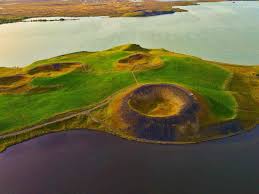 Image result for Pseudovigna