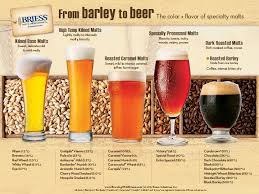 A Colorful Look At The Journey Of Barley To Beer