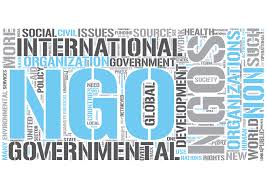 Ngos are a subgroup of organizations founded by citizens, which include clubs and associations that provide services to their members and others. Non Governmental Organizations Ngos Eylul Simsek