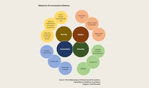 Characteristics of regional and place-based innovation development |  Startup Status