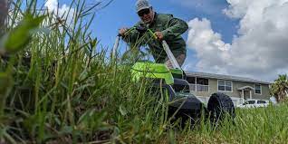 Knowing that a piece of paper in your hand is much more helpful than a computer screen in the house, i have compiled basic cultivation information and care calendars for each of the common lawn grasses. Win Free Lawn Coaching From The Lawn Care Nut Milorganite