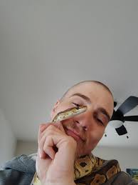 unsure of my bp morph any ideas?got from reptile shop as firefly bp