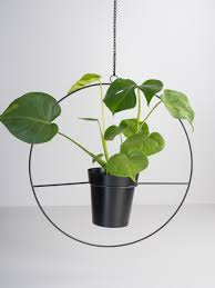 Blumentopf Hangend Blumentopf Blumentopf Terracotta Blumen Ampel