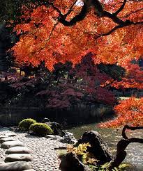 The World S Most Beautiful Botanical Gardens Koishikawa Korakuen Gardens Tokyo Japan Japan Garden Botanical Gardens Japanese Garden