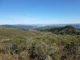 Coastal View From Fox Trail Loop Trail Natural Landmarks Landmarks