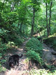 You'll find ambrose a call state park tucked away in the wooded hills of the east fork of the des moines river, and it's the perfect destination for history buffs and nature lovers. Ambrose A Call State Park Algona 2021 All You Need To Know Before You Go With Photos Tripadvisor