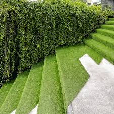 We did not find results for: All You Need To Know For Artificial Grass Dograss