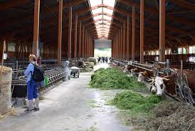 Schrozberger milchbauern bio joghurt mild 3.5% fett, 1 kg. Exkursion Zur Molkerei Schrozberg Und Zu Den Schrozberger Milchbauern Dirks Bio Kiste